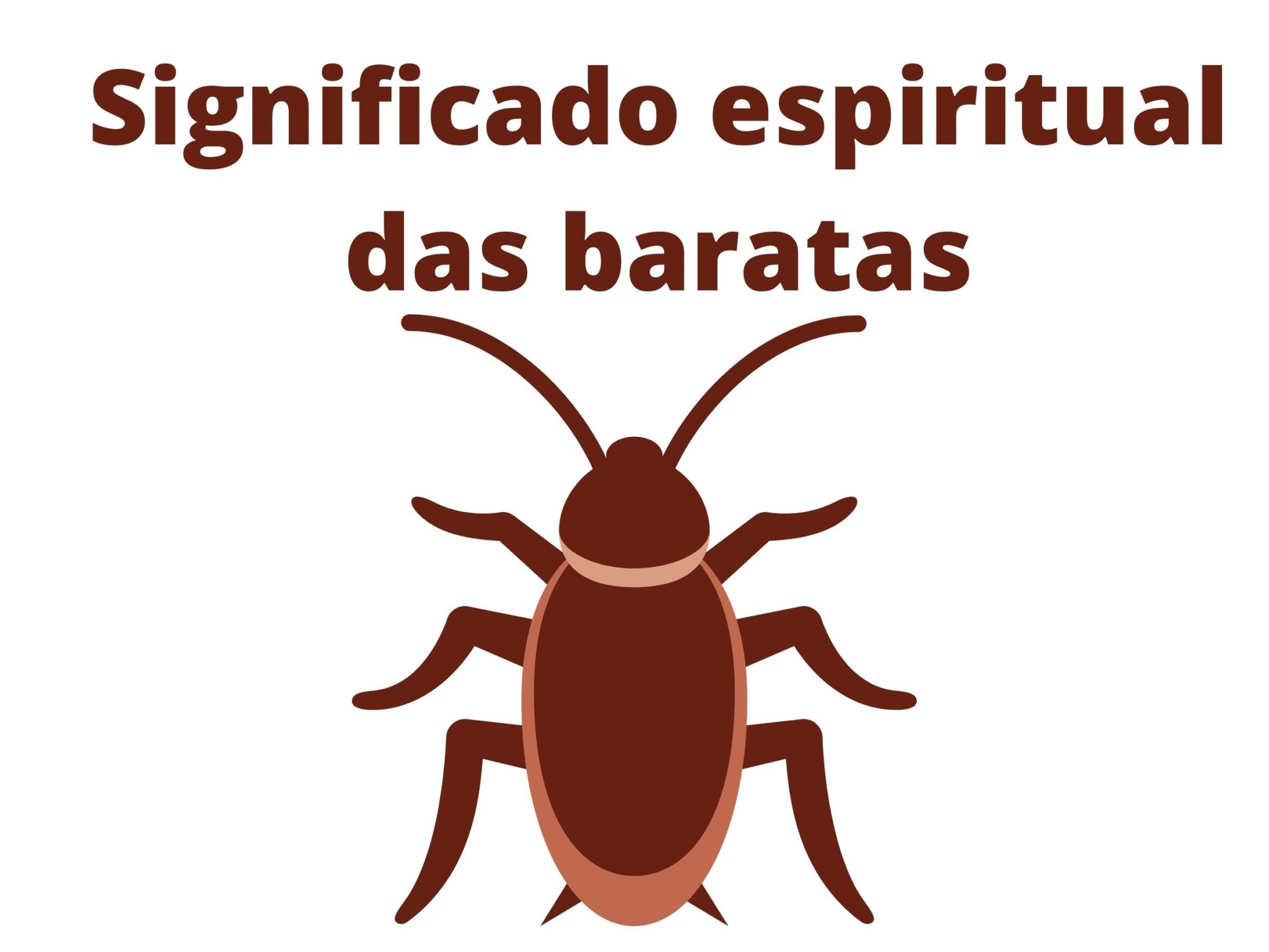 Descubra o significado espiritual das baratas - aprenda agora! - DICAS MIX