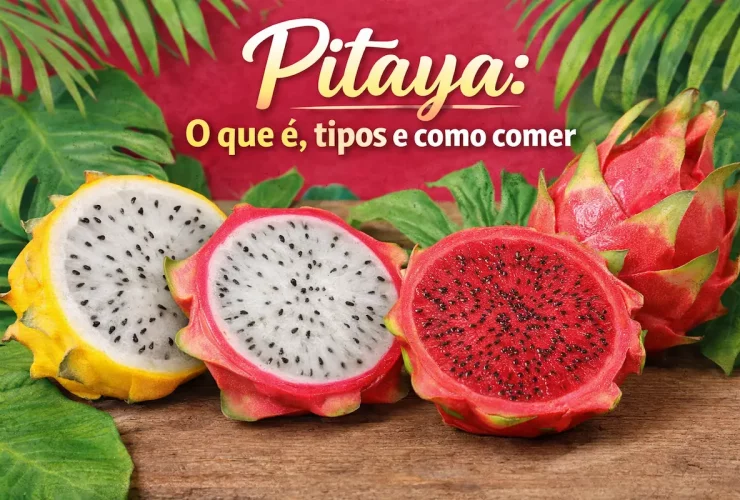 Pitaya: o que é, benefícios, para que serve