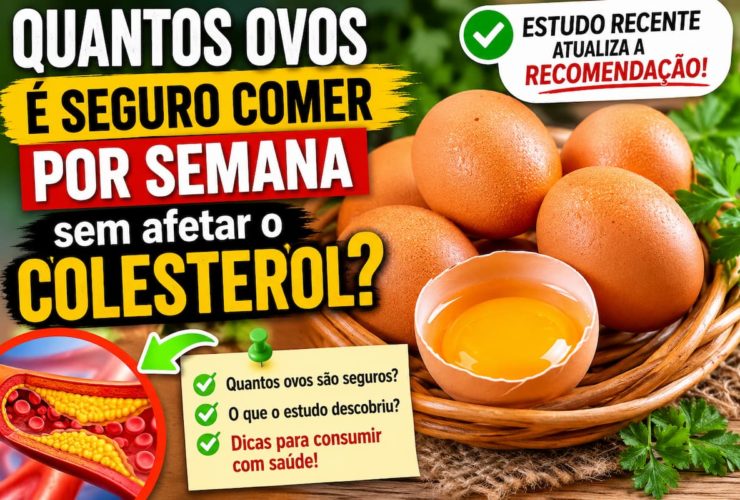 Descubra quantos ovos é seguro consumir por semana