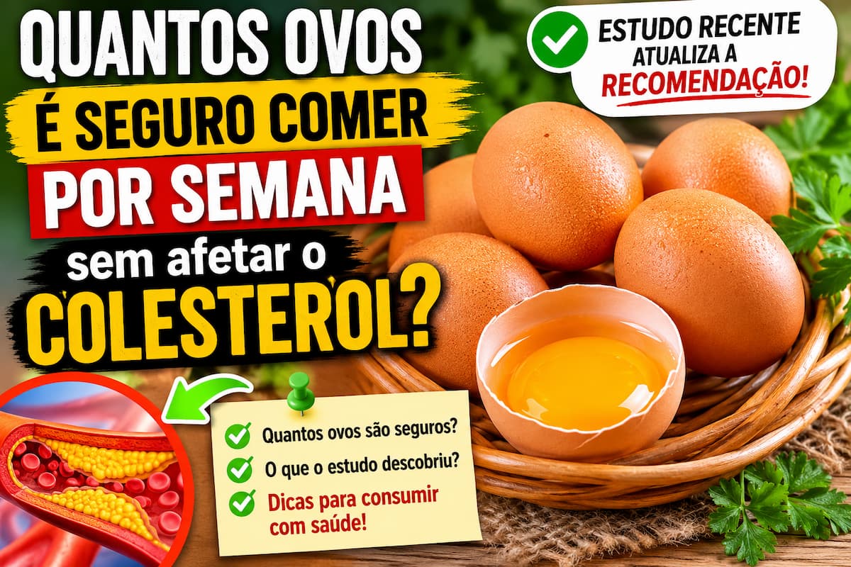Descubra quantos ovos é seguro consumir por semana